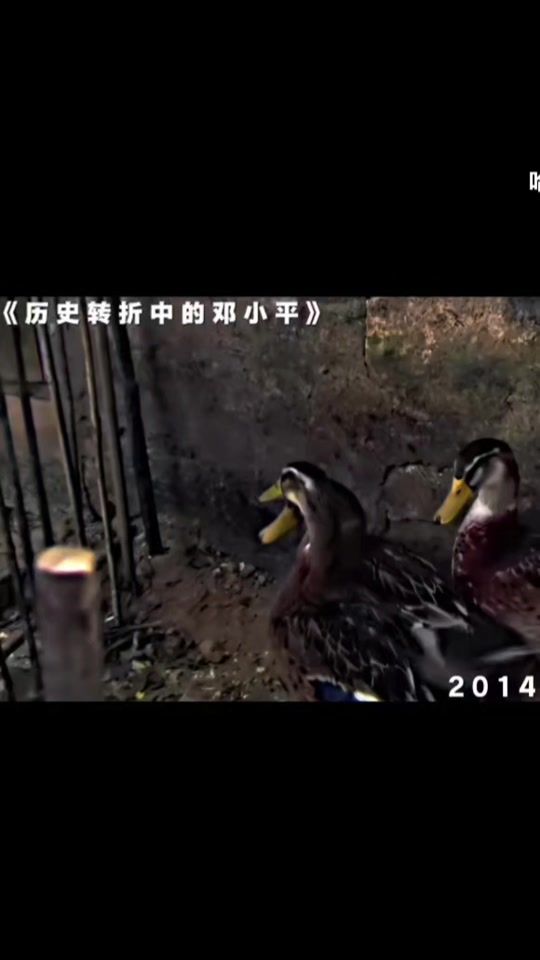 TikTok video thumbnail by fjkaai