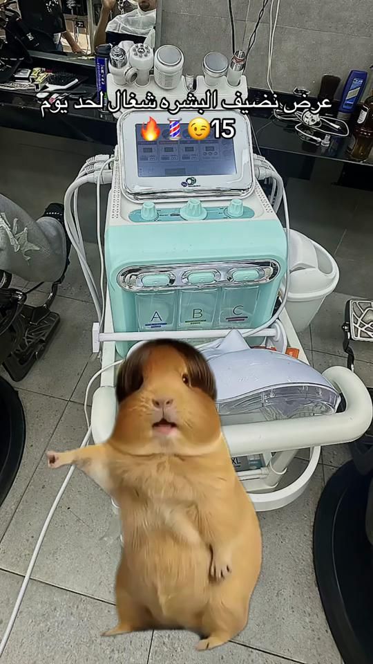 TikTok video thumbnail by mousa.elsafart