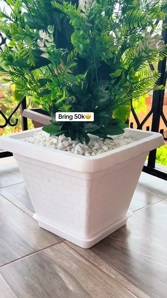 TikTok video thumbnail by naturehouse