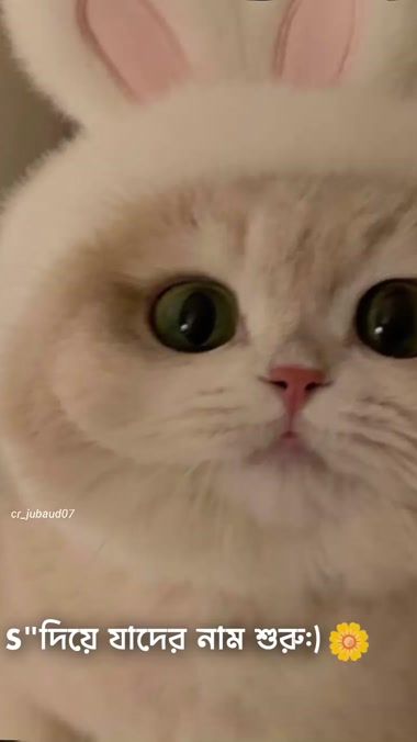 TikTok video thumbnail by sujon_670