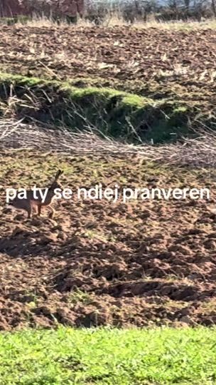 TikTok video thumbnail by altdrini
