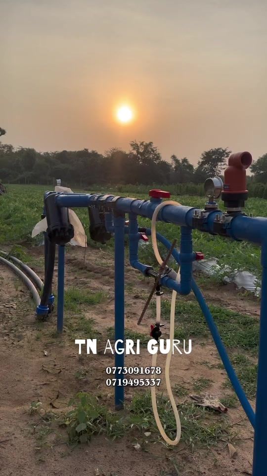 TikTok video thumbnail by tn.agri2