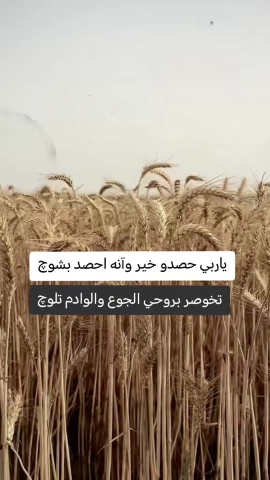 TikTok video thumbnail by 90__wi