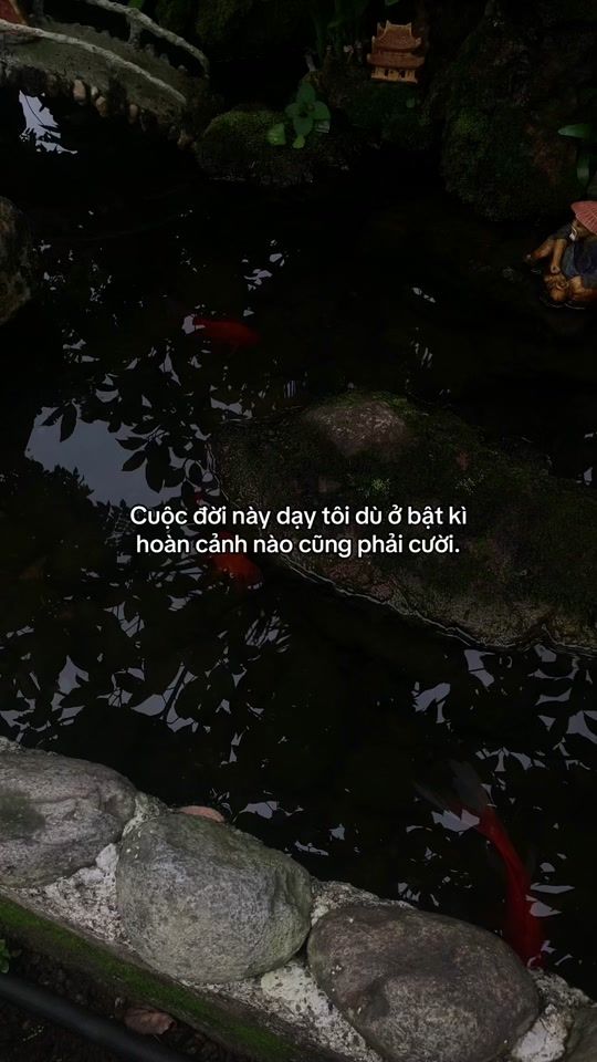 TikTok video thumbnail by promisdaxix