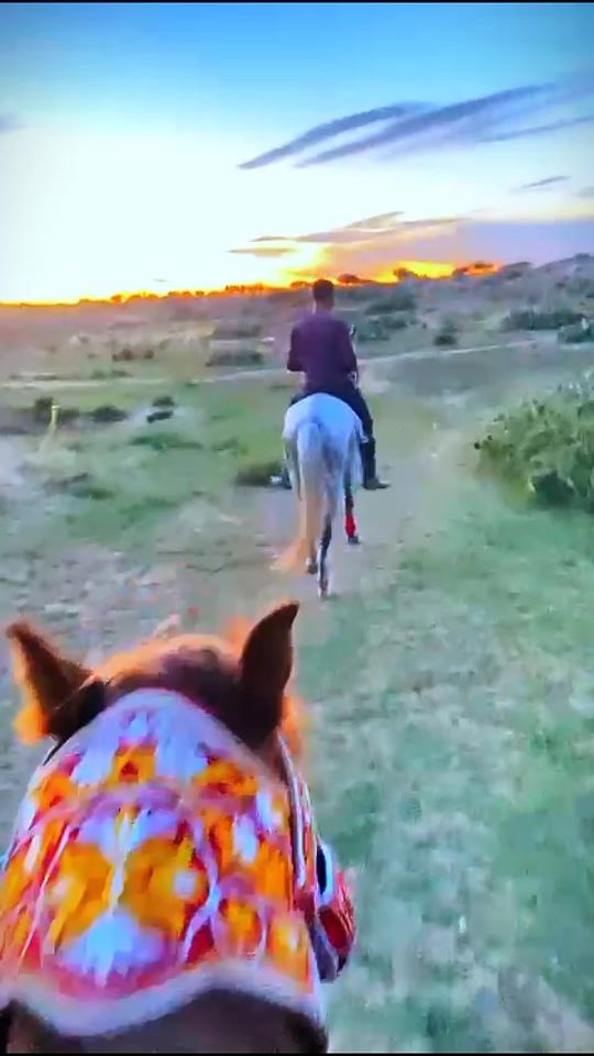 TikTok video thumbnail by mourad.nafti6
