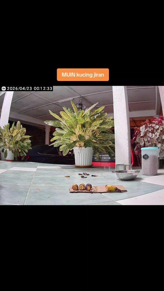 TikTok video thumbnail by kujiecats