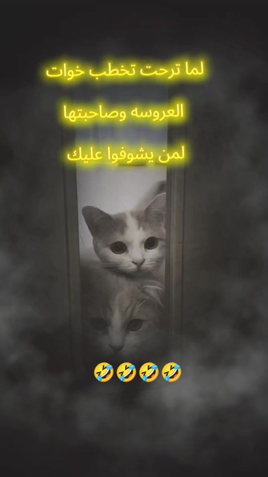 TikTok video thumbnail by yaqwp_alyemeni