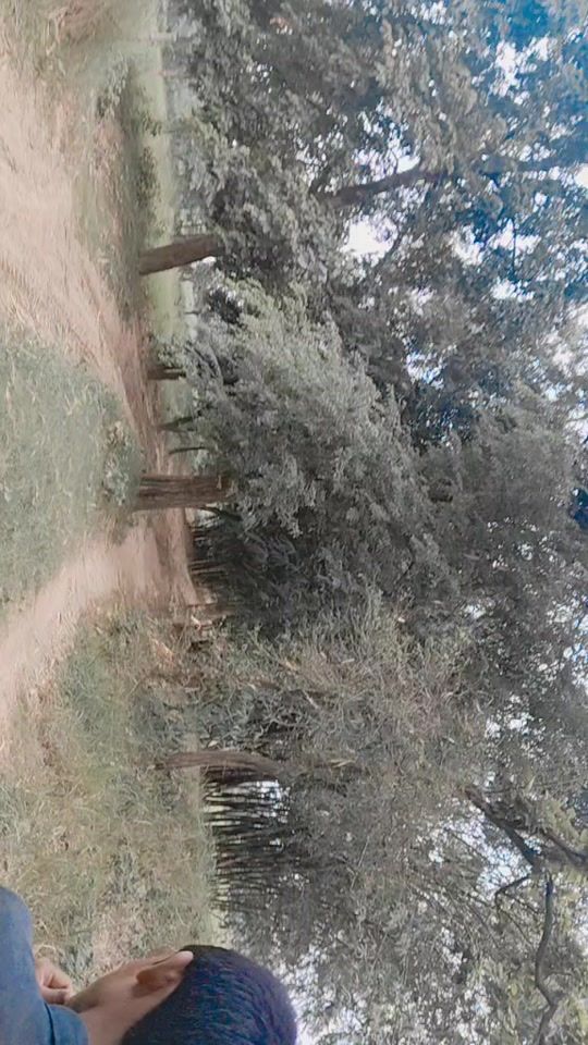 TikTok video thumbnail by jay.karan.kumar14