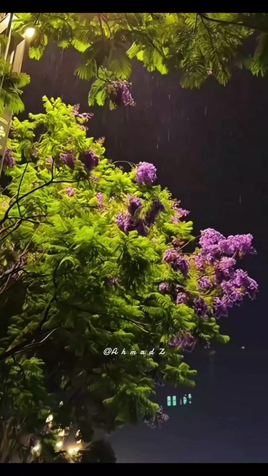 TikTok video thumbnail by ahamd_az
