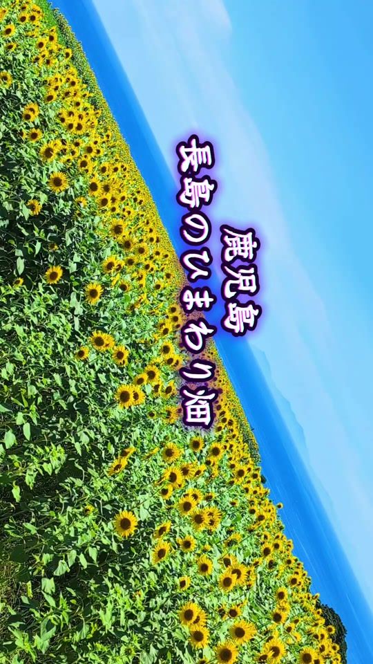 TikTok video thumbnail by sachi0084