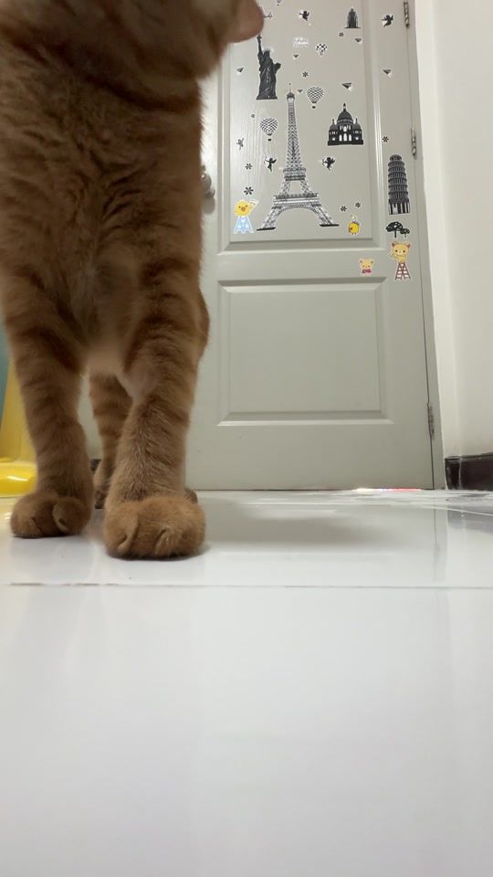 TikTok video thumbnail by bob_thantip