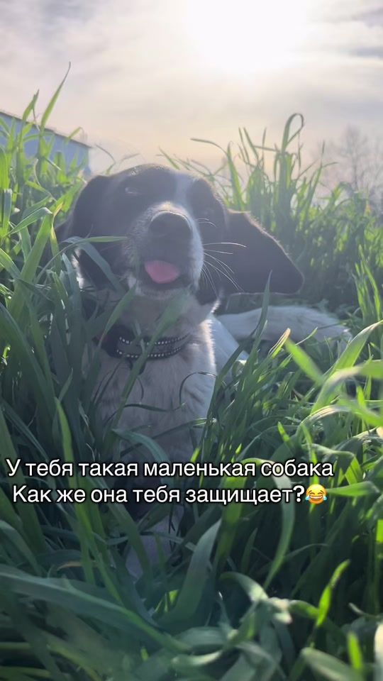 TikTok video thumbnail by bonitatyt