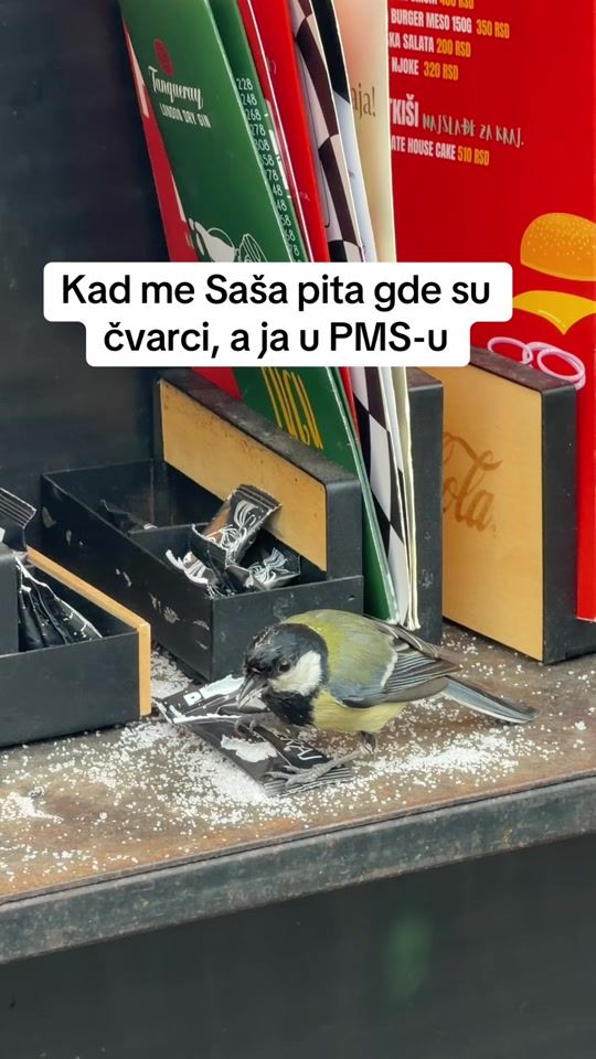 TikTok video thumbnail by veseli_plamicak