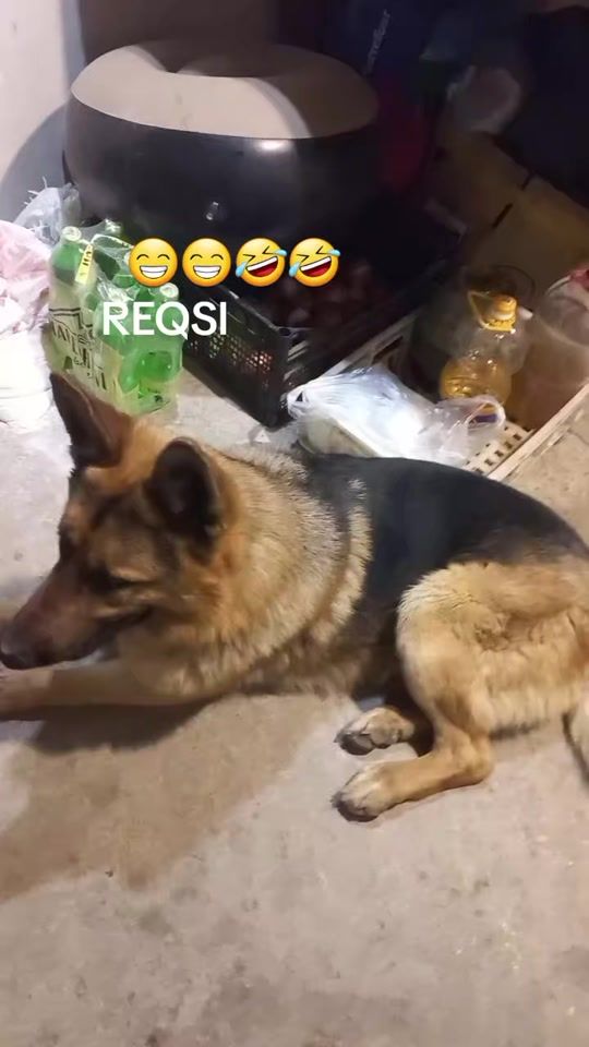 TikTok video thumbnail by 2107.2108