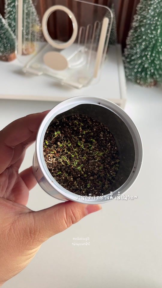TikTok video thumbnail by pupaexl