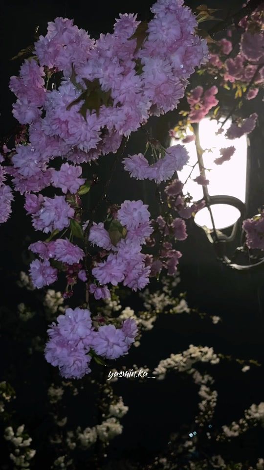 TikTok video thumbnail by .yasminka_