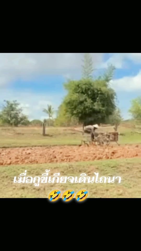 TikTok video thumbnail by tarnoy004