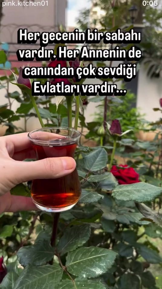 TikTok video thumbnail by cannmemo2362