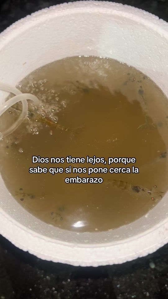 TikTok video thumbnail by wildren.oficial