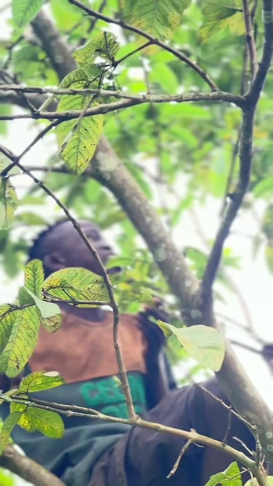 TikTok video thumbnail by mwanawattu