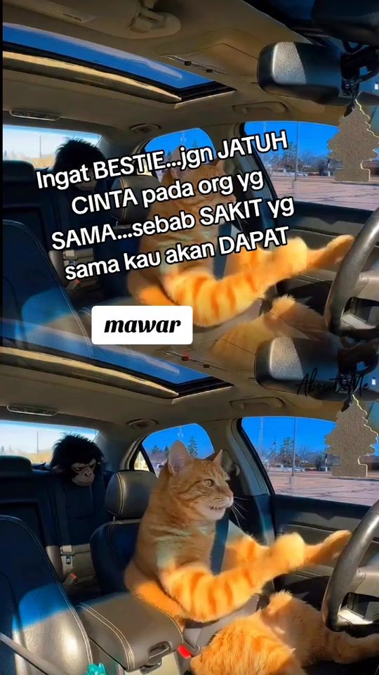 TikTok video thumbnail by 63__ma__59__war