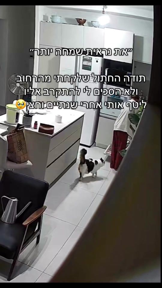 TikTok video thumbnail by _talperry_