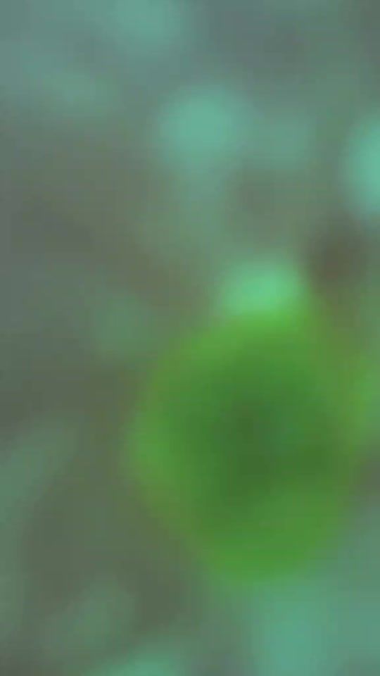 TikTok video thumbnail by susugasele