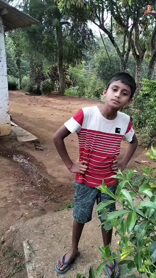TikTok video thumbnail by di_mu_va