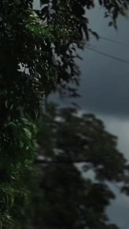 TikTok video thumbnail by dope_shaghy