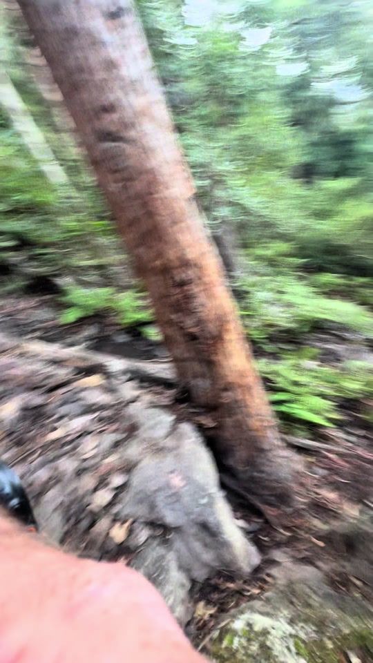 TikTok video thumbnail by _cringedad