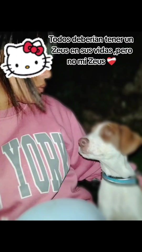 TikTok video thumbnail by abby_jvtl