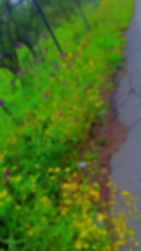 TikTok video thumbnail by thamelahnt06