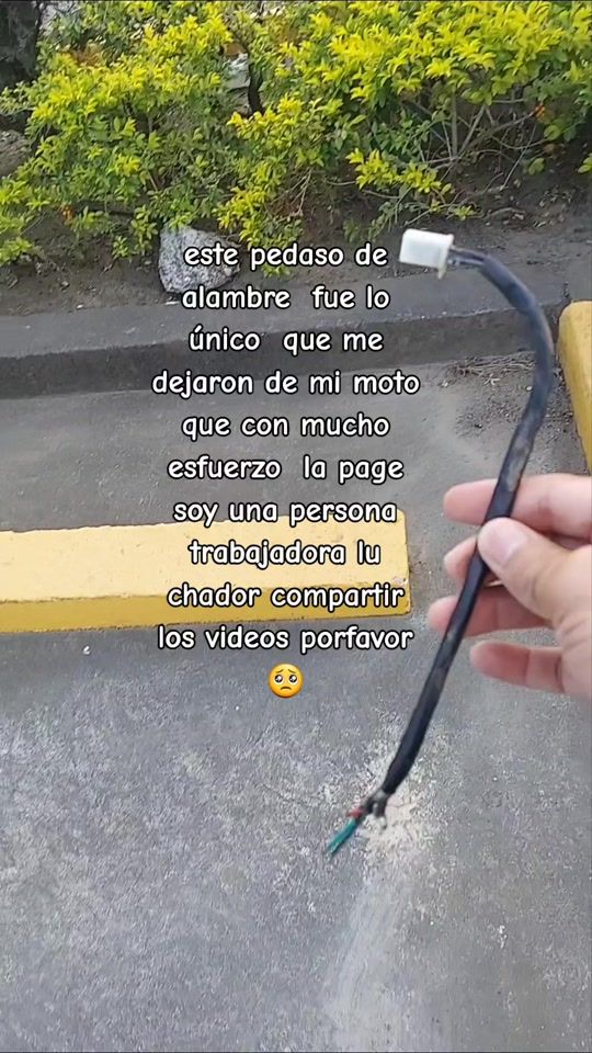 TikTok video thumbnail by evercarcamo1