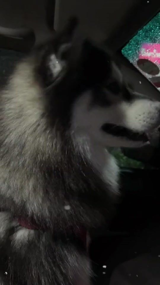 TikTok video thumbnail by moran_wawa_nunu