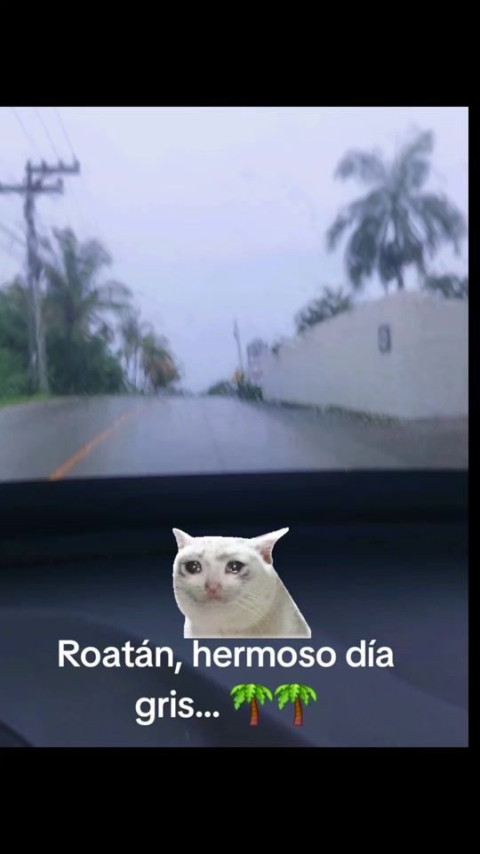 TikTok video thumbnail by sarinajecxa