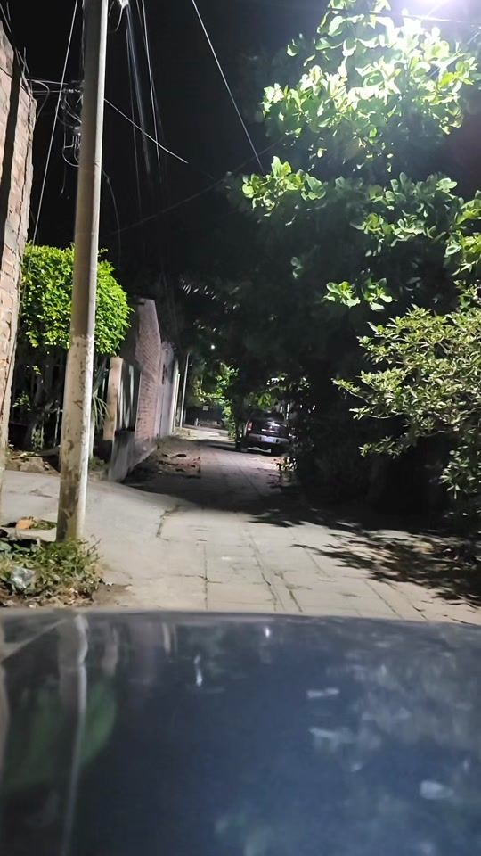 TikTok video thumbnail by mister.zebran