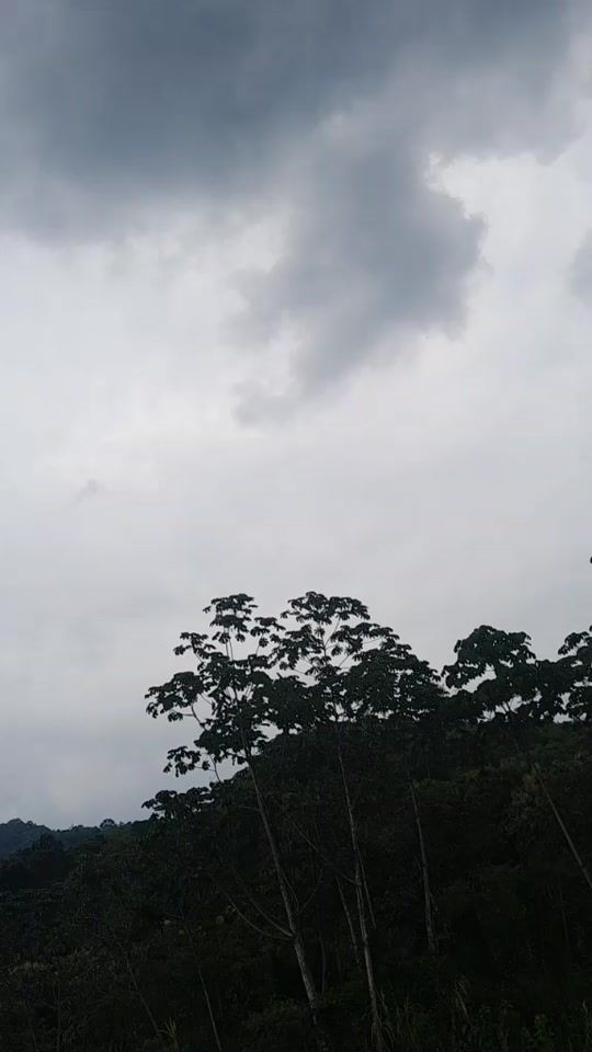 TikTok video thumbnail by emarnarvaez