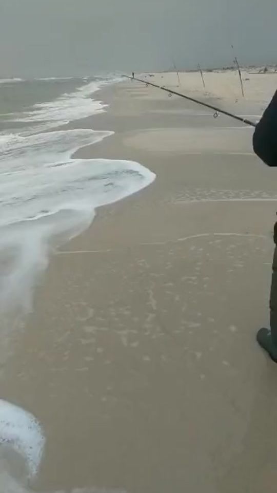 TikTok video thumbnail by boughdirichiheb