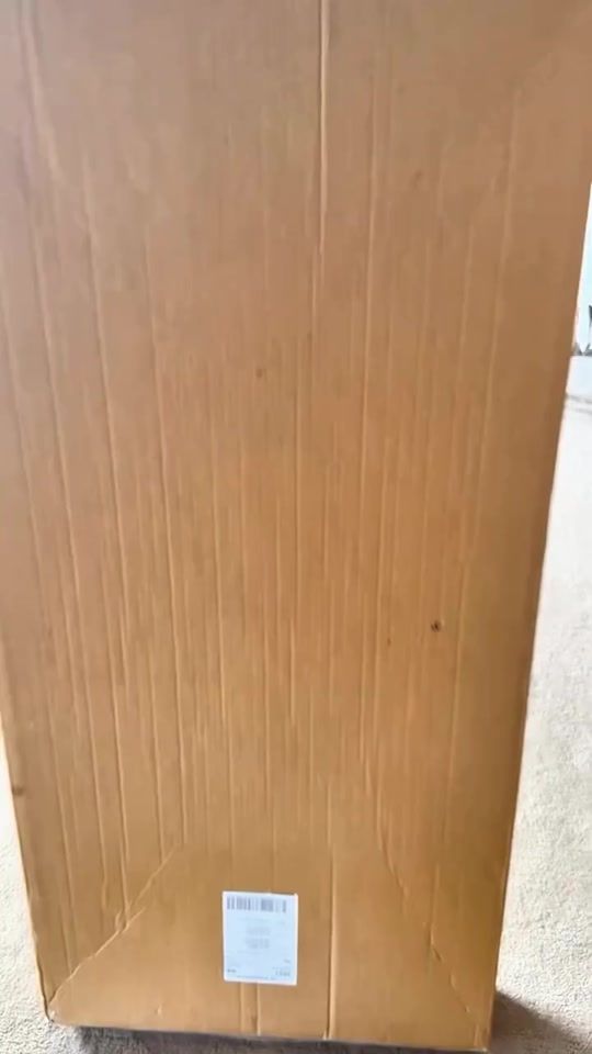 TikTok video thumbnail by evelyn_sharma