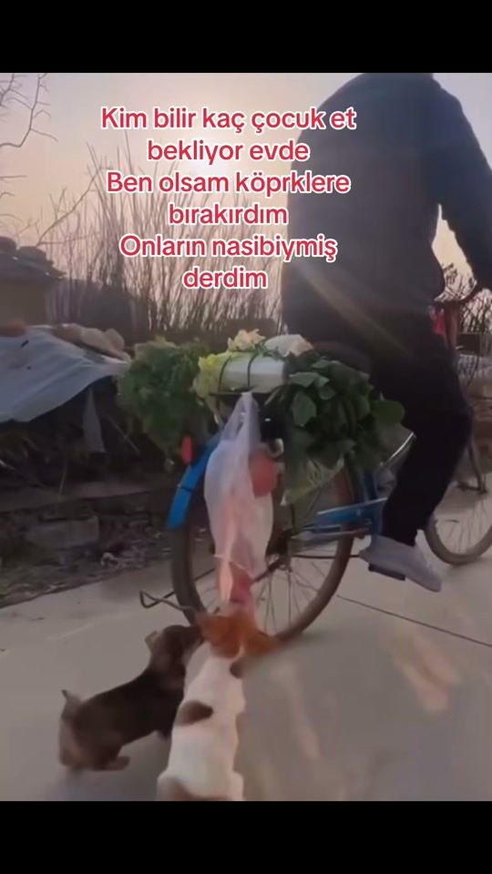 TikTok video thumbnail by 07adnan_reis07