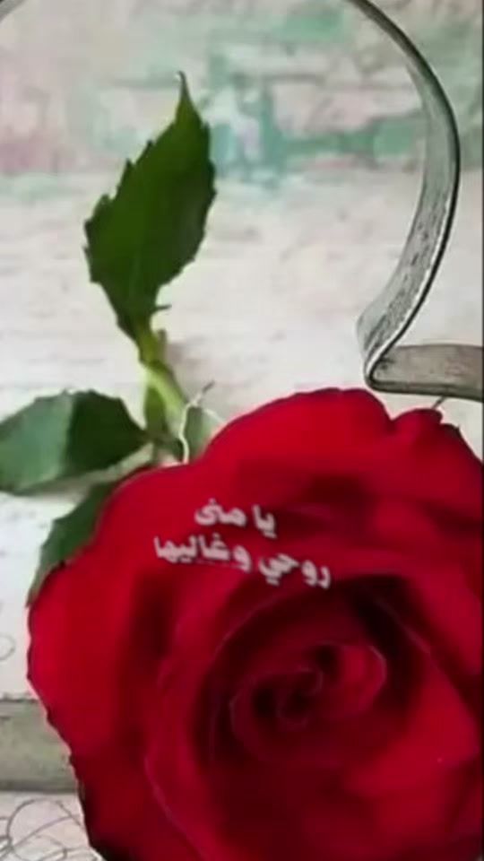 TikTok video thumbnail by az00056