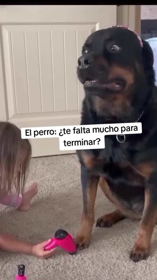 TikTok video thumbnail by memeando_derisa