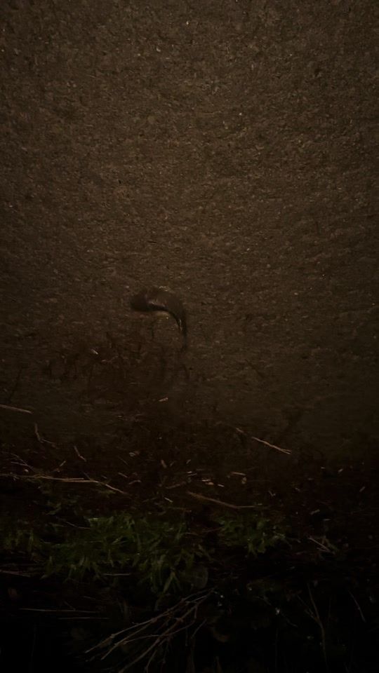 TikTok video thumbnail by forhad.iqbail