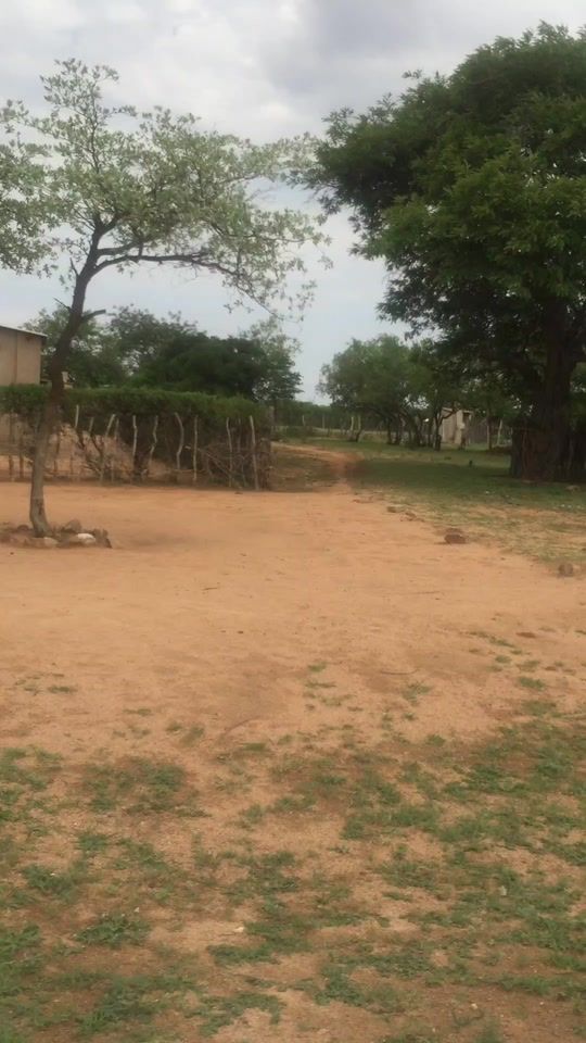 TikTok video thumbnail by mazitha90