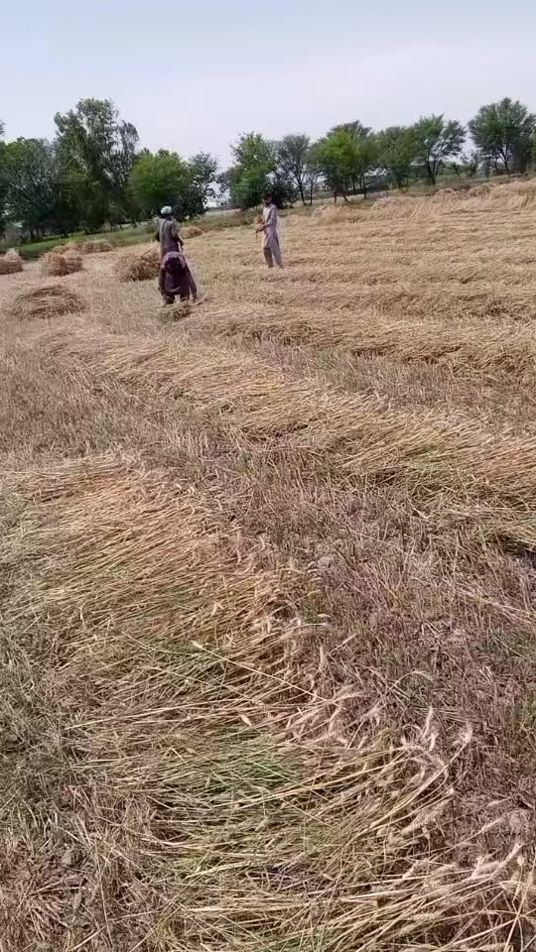 TikTok video thumbnail by itsmaken4