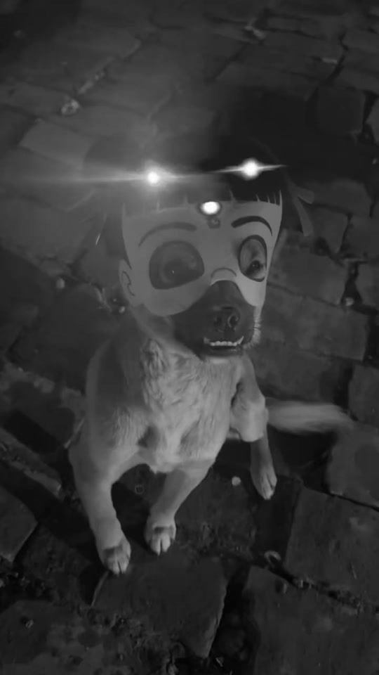 TikTok video thumbnail by hengii79