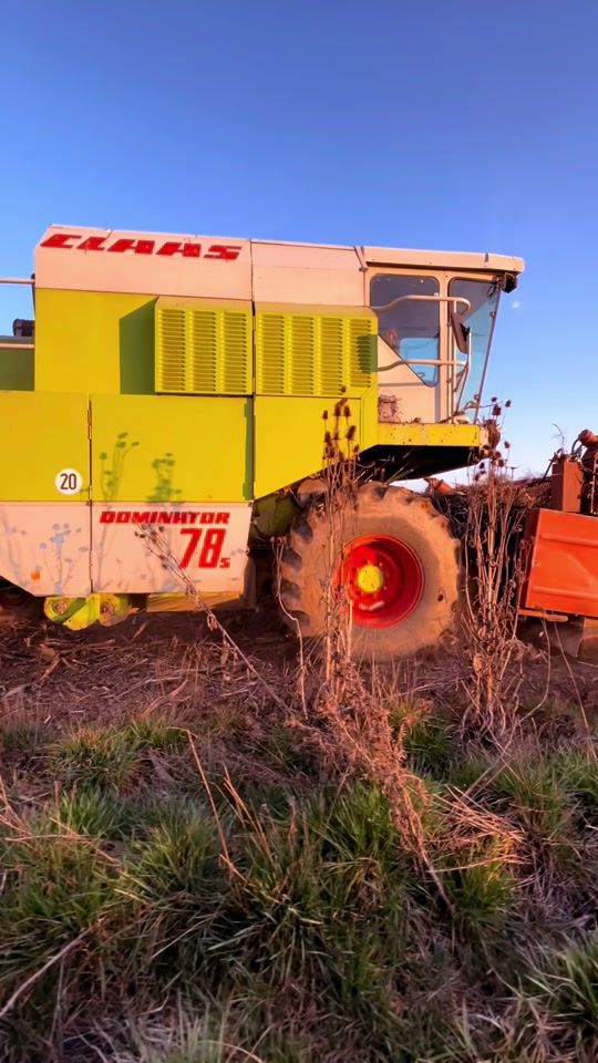 TikTok video thumbnail by farmer_162