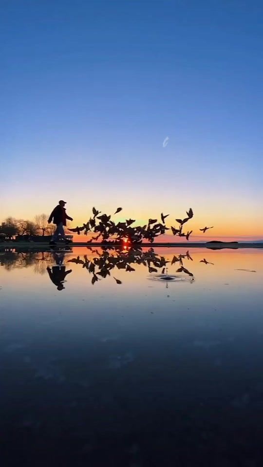 TikTok video thumbnail by osman_bayramaliyev001