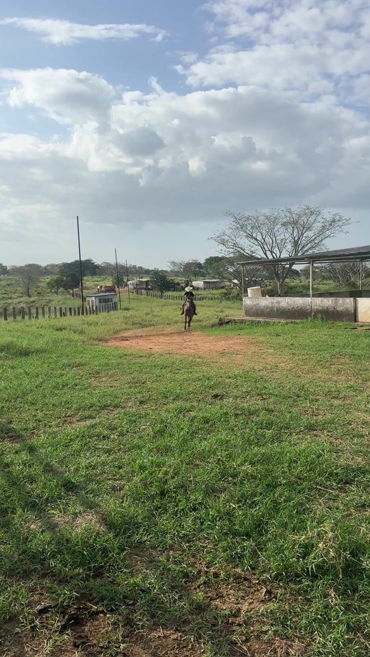 TikTok video thumbnail by ramonclavierp