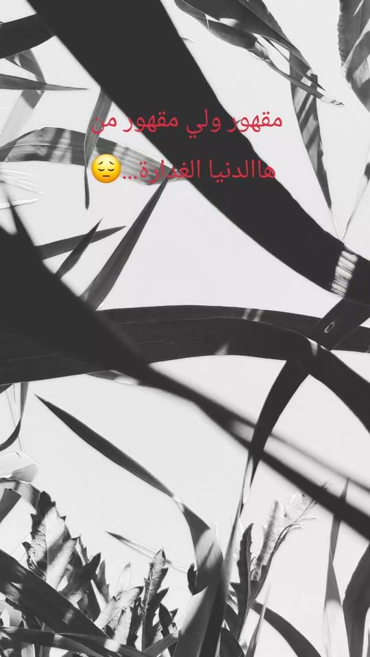 TikTok video thumbnail by sama__058